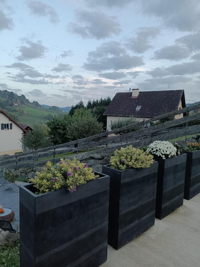 Gite Luxury A Soultzeren Екстер'єр фото